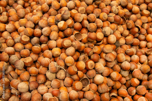 Forest nut background. Full and half of hazelnuts on white background top view. Isolated