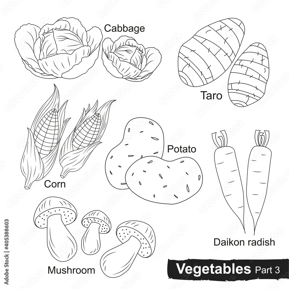 Vegetables line collection part 3 Vegetables line collection part 3
