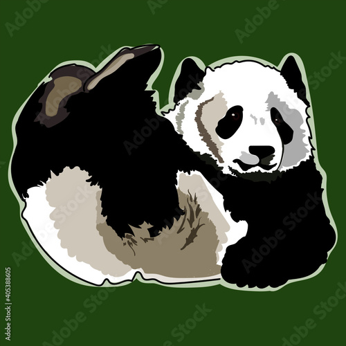 panda