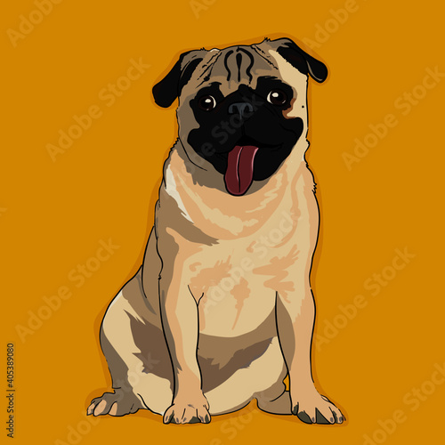 perro pug
