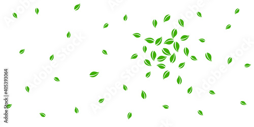 Falling green leaves. Fresh tea random leaves flying. Spring foliage dancing on white background. Amazing summer overlay template. Cool spring sale vector illustration.