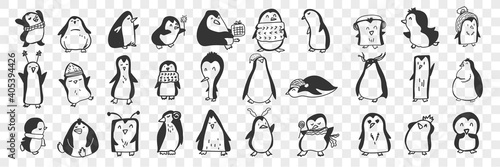 Penguin doodle set. Collection of funny hand drawn cute penguins animals in accessories doing everyday things enjoying life isolated on transparent background. Illustration for kids
