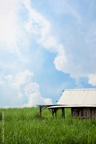 wooden bench on a green field