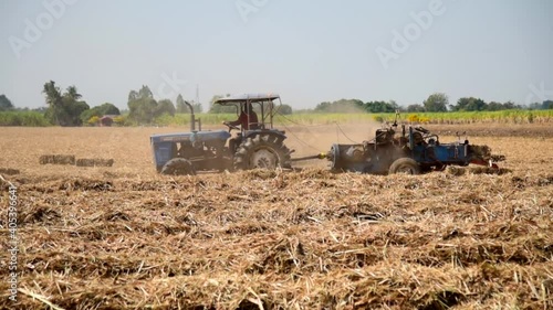 Sugarcane leaf compress by tractor in old sugarcane field