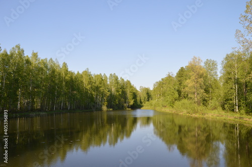 Reflection of trees in the water without people 