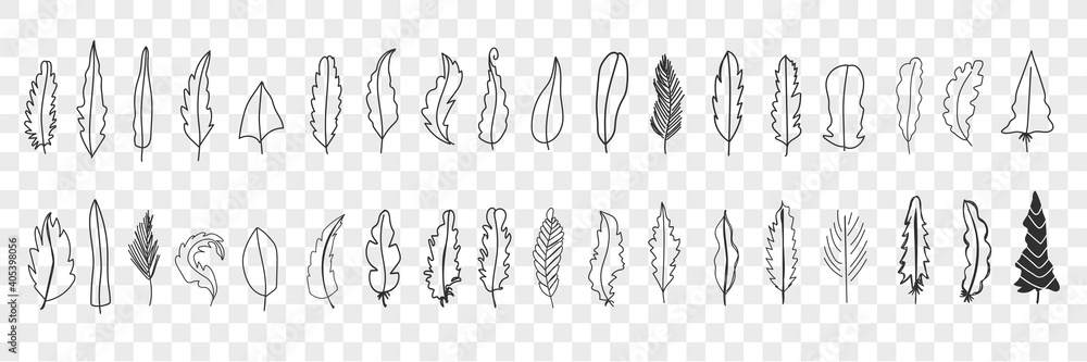 Various bird feathers doodle set. Collection of hand drawn cute elegant silhouette and patterns of feathers from different birds isolated on transparent background. Illustration of feather Various bird feathers doodle set. Collection of hand drawn cute elegant silhouette and patterns of feathers from different birds isolated on transparent background. Illustration of feather
