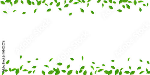 Falling green leaves. Fresh tea chaotic leaves flying. Spring foliage dancing on yellow green background. Alluring summer overlay template. Perfect spring sale vector illustration.