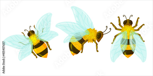 beautiful bee or wasp drawn in cartoon style. striped insect. yellow bee with blue transparent wings against a background of yellow honeycombs. vector illustration