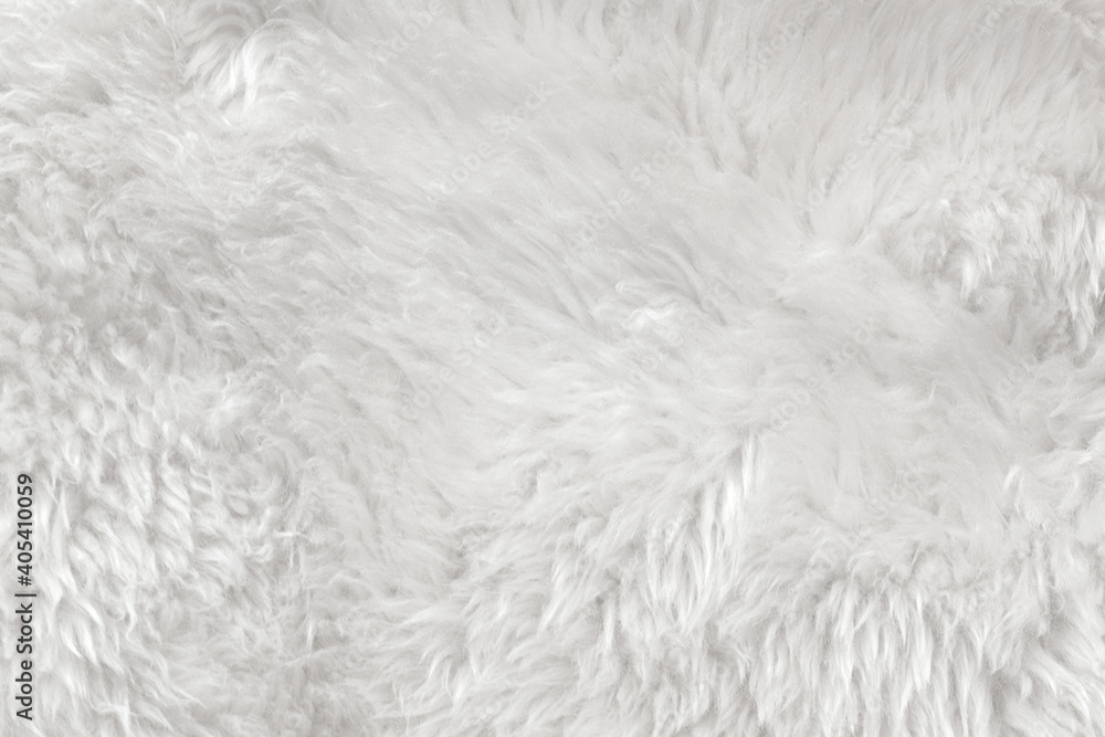 White clean wool with white top texture background. light natural sheep wool. white seamless cotton. texture of fluffy fur for designers. close-up fragment white wool carpet White clean wool with white top texture background. light natural sheep wool. white seamless cotton. texture of fluffy fur for designers. close-up fragment white wool carpet
