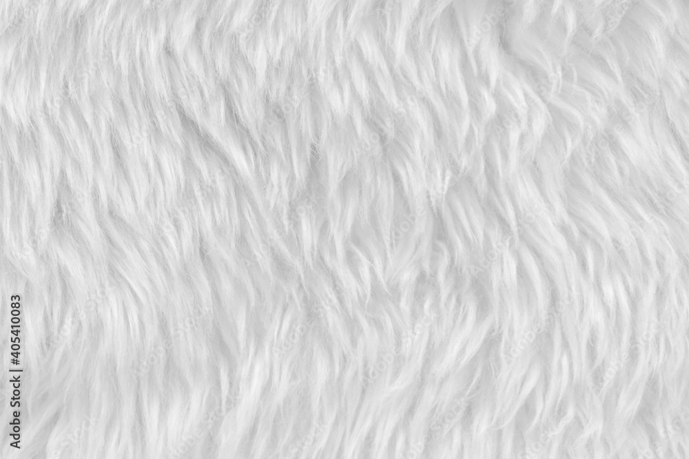White clean wool with white top texture background. light natural sheep wool. white seamless cotton. texture of fluffy fur for designers. close-up fragment white wool carpet White clean wool with white top texture background. light natural sheep wool. white seamless cotton. texture of fluffy fur for designers. close-up fragment white wool carpet