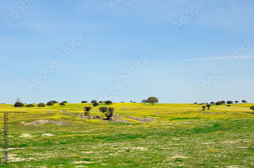 Landschap Extramadura, Landscape Extramadura © AGAMI