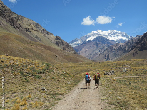 Fototapeta Naklejka Na Ścianę i Meble -  View on the Andes mountain Aconcagua near Mendoza in Argentina