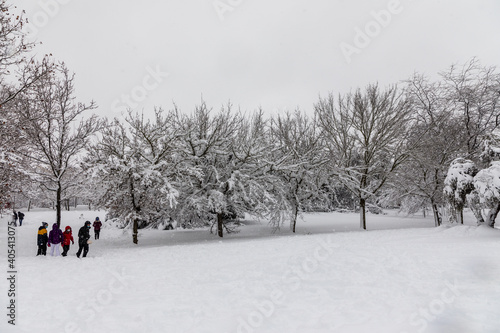 people enjoying the streets of snow, in the city of Madrid, covered by the storm philomena, january 05, 2021 in Madrid photo