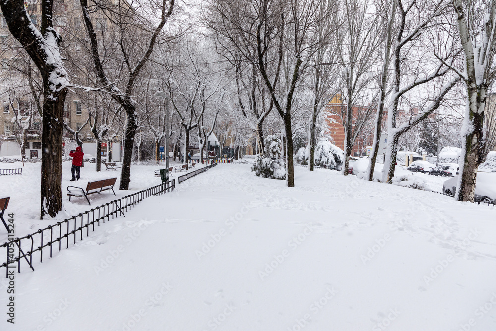 Naklejka premium people enjoying the streets of snow, in the city of Madrid, covered by the storm philomena, january 05, 2021 in Madrid