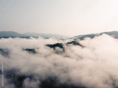 Fog in the forest, trees and mountains, mist in the morning