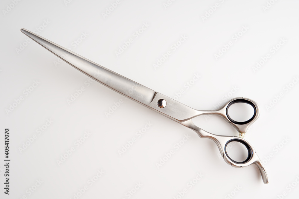 Fototapeta premium Dog grooming scissors isolated on light background