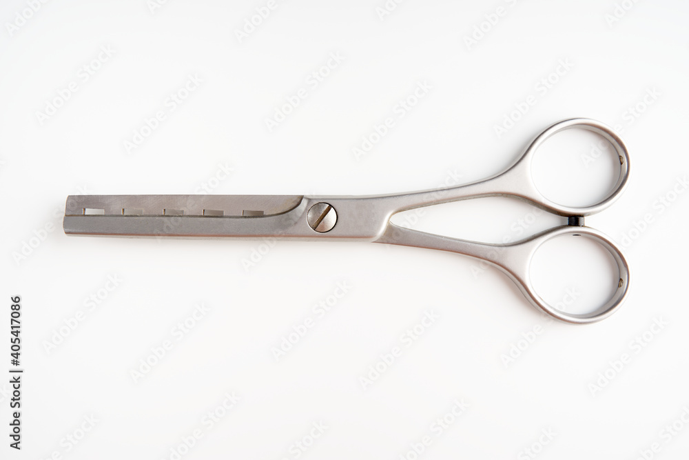 Dog grooming scissors isolated on light background Dog grooming scissors isolated on light background