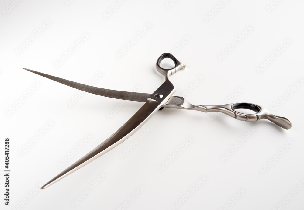 Dog grooming scissors isolated on light background Dog grooming scissors isolated on light background