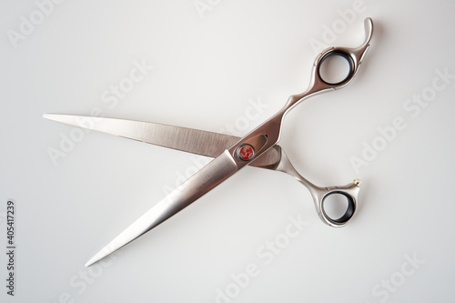 Dog grooming scissors isolated on light background