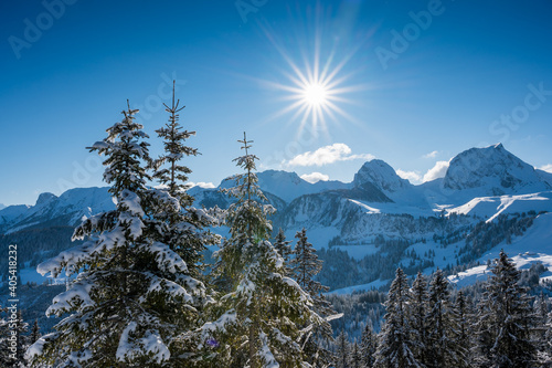 a wonderful sunny winter day in Naturpark Gantrisch photo