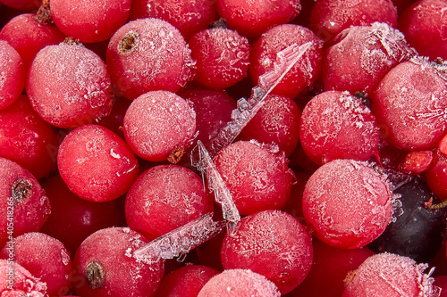 Frozen fresh red currant. Frame filled with red currant. Top view
