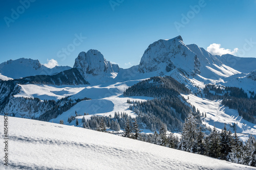 perfect winter weather in Naturpark Gantrisch with Nüneneflue and Gantrisch photo