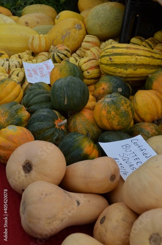 Piles of Acorn squash, Butternut squash and other varieties for sale at an outdoor farmer's market. photo