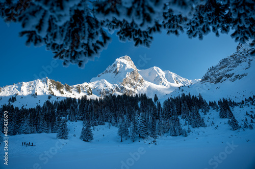 peak of Gantrisch in winter in Naturpark Gantrisch in the Bernese Alps