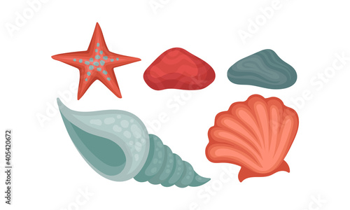 Seashell and Starfish as Beach and Ocean Bottom Objects Vector Set