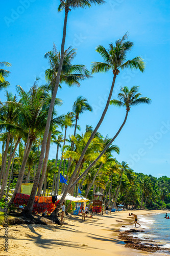 Beautiful landscape of Hon Thom beach, Phu Quoc island, Vietnam, Asia with tourist, chairs and umbrella. White sand and coco palms travel tourism and swing under tree.