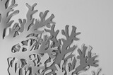 Black and white image of beautiful coral branches in the sea