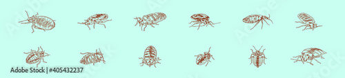 set of bedbug cartoon icon design template with various models. vector illustration isolated on blue background
