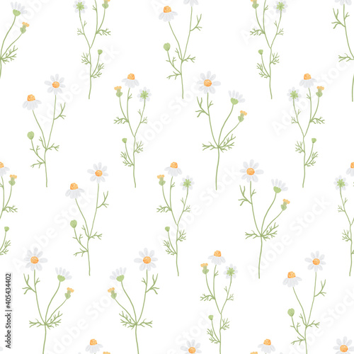 beautiful minimal hand drawn white chamomile flower seamless pattern for paper or fabric