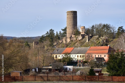 Zebrak Castle is located near the town of Zebrak in Central Bohemia, Czech Republic. photo