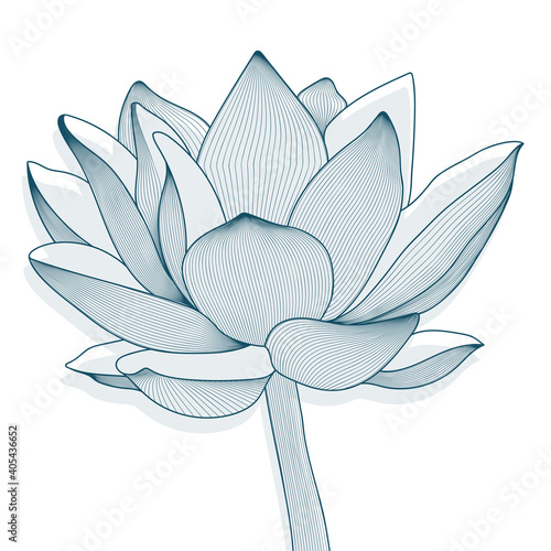 Linear vector decorative pattern of lotus flower. Graphics