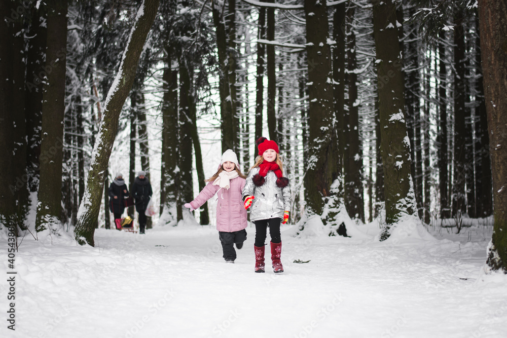Two little girls playing in the winter