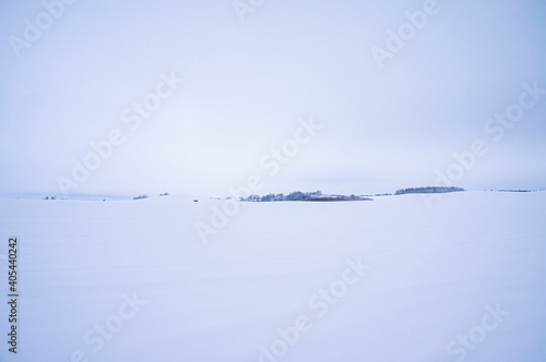 Winter landscape with a view of a snowy field and a light sky © Payllik