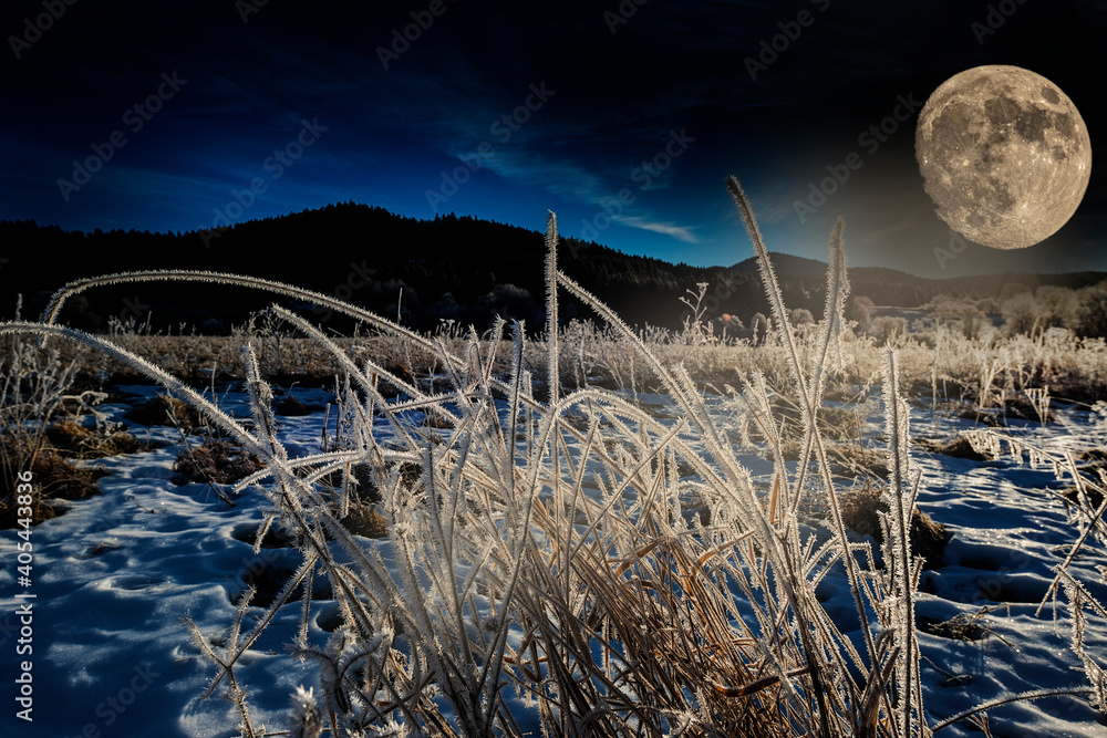 winter landscape with frozen grass and moon winter landscape with frozen grass and moon