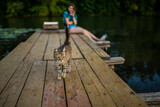 a girl sits on a wooden pier and watches a cat walking on the boards