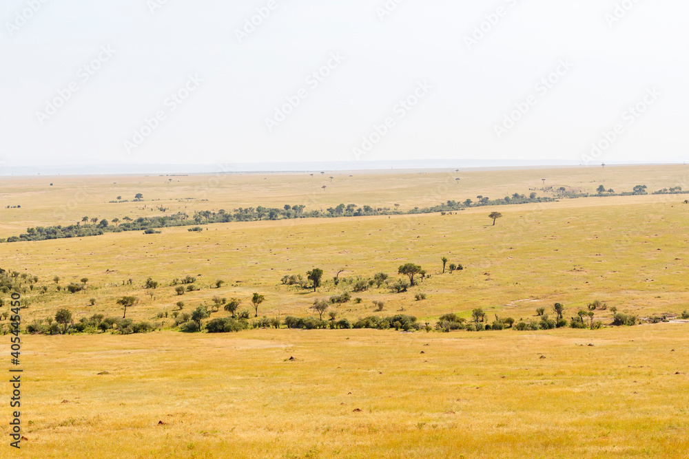 Dry at hot savanna landscape view