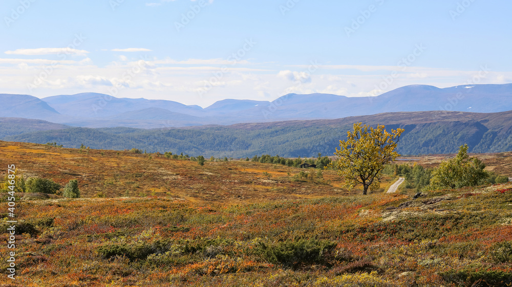 Forollhogna National park, Norway
