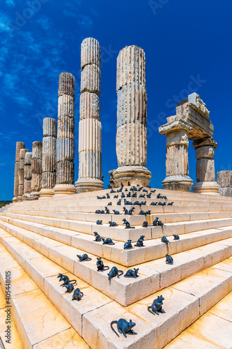 Apollon Smintheion Temple ruins panoramic view in Canakkale Province in Turkey photo