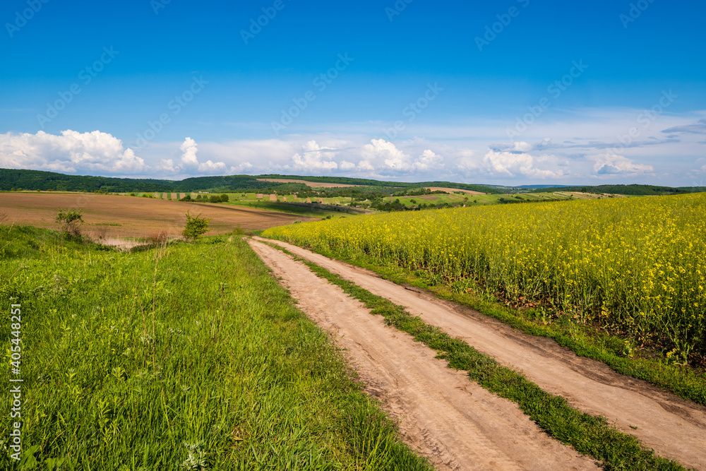 Spring countryside view with dirty road, rapeseed yellow blooming fields, village, hills. Ukraine, Lviv Region.