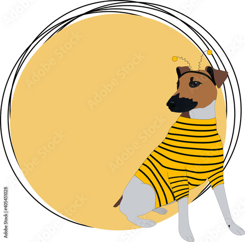 A funny dog ​​in a bee costume. Blank for a card or invitation. Fox Terrier sits near a yellow circle.