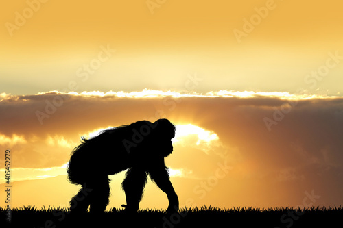 illustration of monkey at sunset