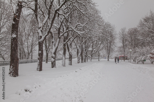 winter park covered with fresh snow © Oleh