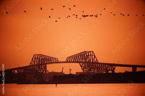 夕方の鉄橋とカモメの大群のシルエット