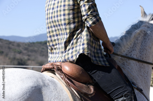 Closeup of a young man in casual outfit riding white horse