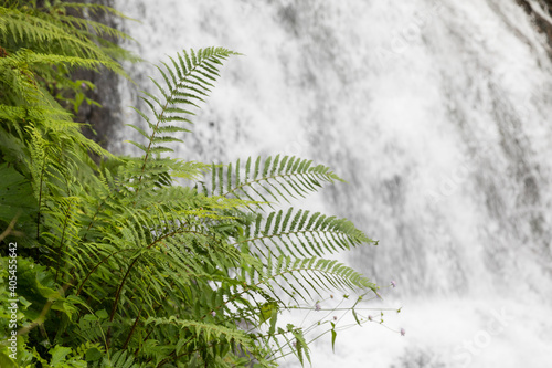 Teufelsbach Wasserfall photo