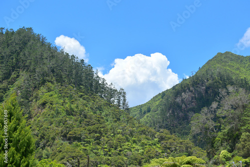 View of two green hills with blue sky and white cloud
